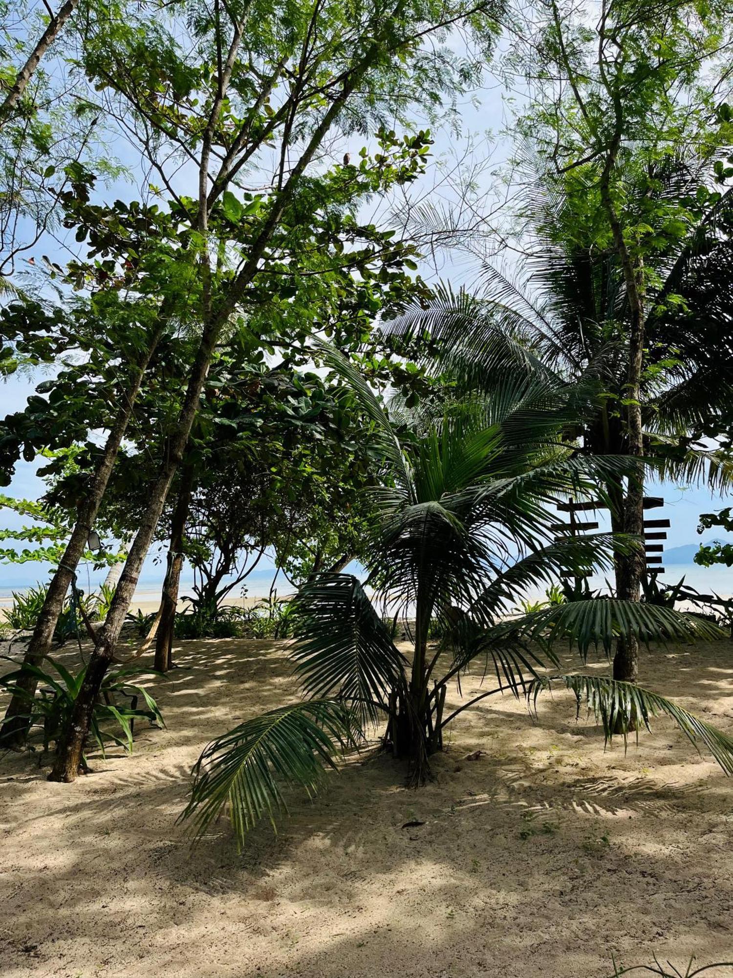 Efrena Agro Tourism Beach エルニド エクステリア 写真
