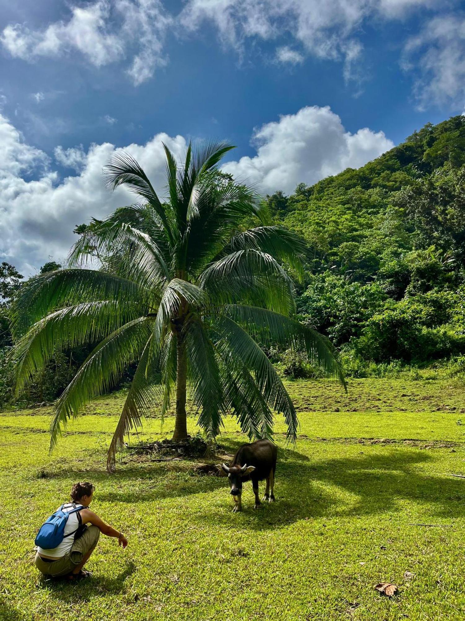 Efrena Agro Tourism Beach エルニド エクステリア 写真
