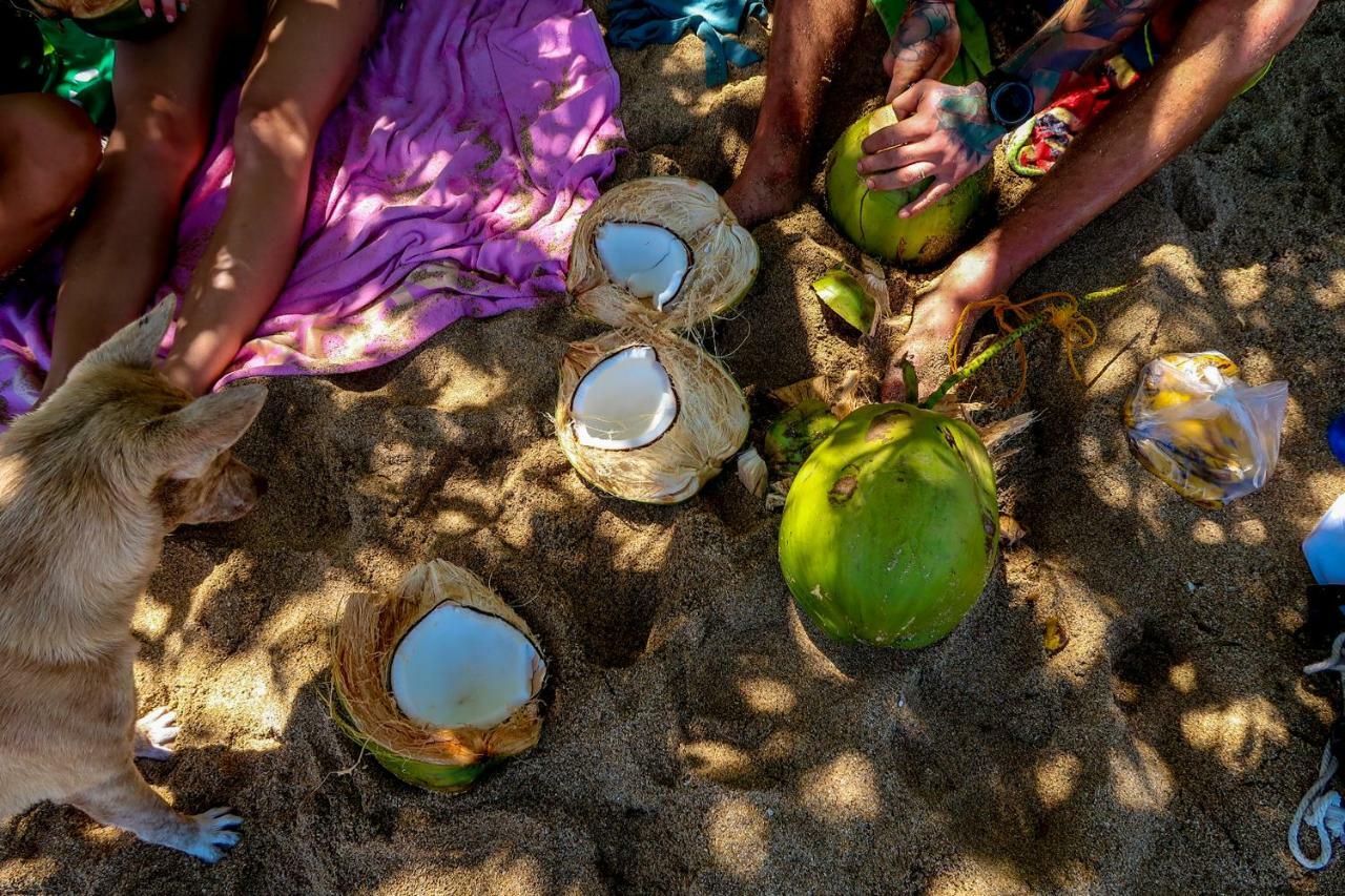 Efrena Agro Tourism Beach エルニド エクステリア 写真